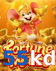 55kd